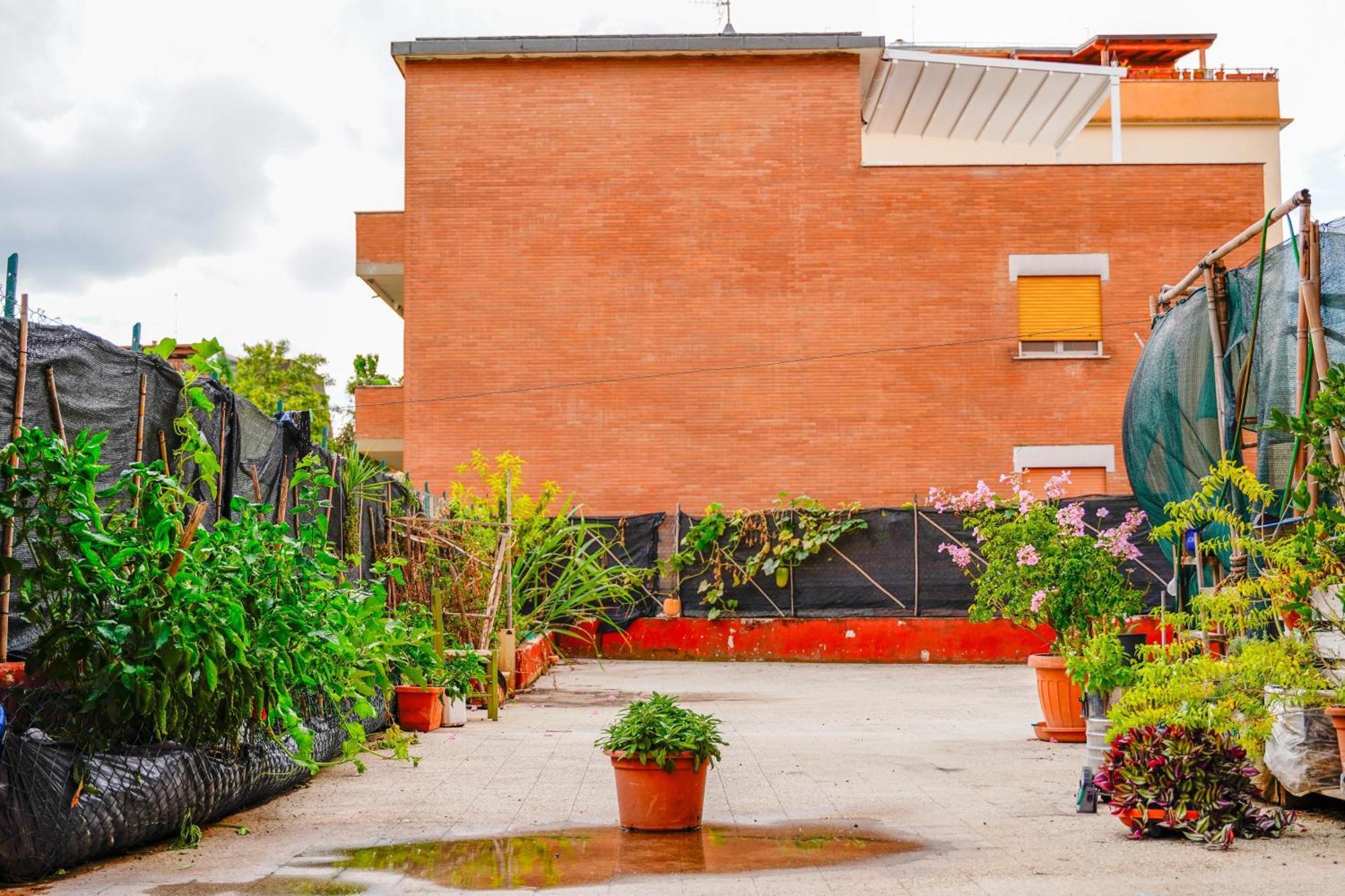 Bed & Breakfast La Terrazza Hotel Latina Exterior photo